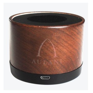 Xtreme-Wooden-bluetooth-speaker